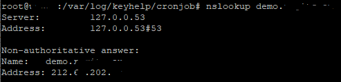 DNS.PNG