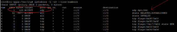 Port 546 should be open for IPv6 to work